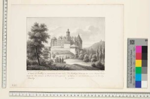 Heidelberger Schloss von Nordosten gesehen