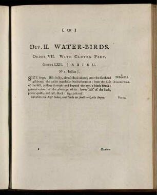 Div. II. Water-Birds.