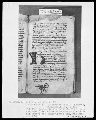 Epiphanius Latinus, Interpretatio evangeliorum — Symbol des Evangelisten Johannes, Folio 131recto