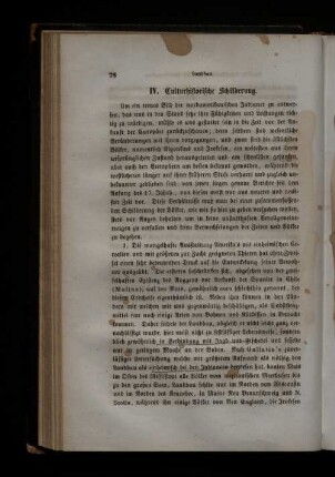 IV. Kulturhistorische Schilderung.