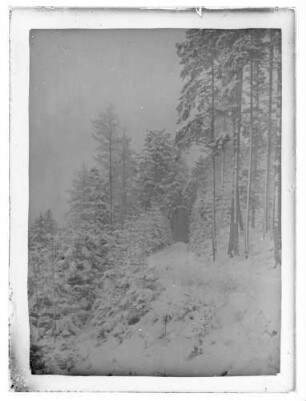 Verschneiter Waldweg