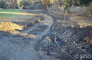 Potsdam, Park Sanssouci, Marlygarten, Parkweg im nördlichen Teil.