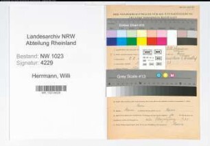 Entnazifizierung Willi Herrmann , geb. 08.08.1903 (Arbeiter)