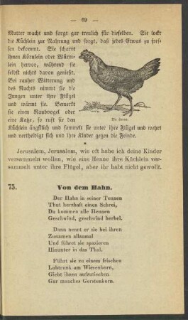X. Winterszeit