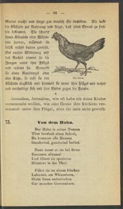 X. Winterszeit