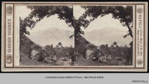 Landschaft