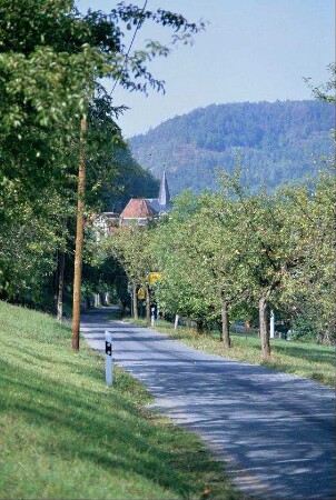 Straße nach Greuda, Apfelbäume am Straßenrand, im Hintergrund Kirche