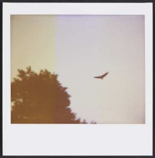 Landschaft mit Vogel