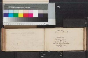 Pfitzer, Johann Jacob; Blatt 51