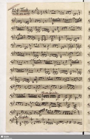 1334. Finale: Dev'esser lo Sposo / Cimarosa, D.