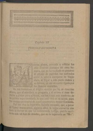 Capítulo XII - Terrible incógnita