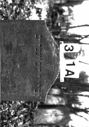 Grabstein A I/3/1A