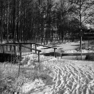 Feuchtgebiet zwischen Masurenweg und Ratzeburger Straße: in der Mitte Bach: links Holzbrücke für Fußgänger: rechts Hinweisschild: hinten Baumreihe: dahinter Häuser: Winter
