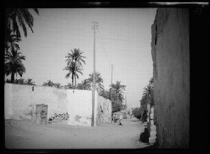 Tripolis (Libyen): Ausfallstraße neben einem ummauerten Palmengarten ("Oase von Tripolis")