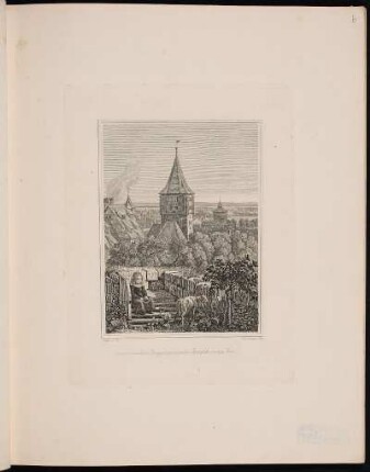 Aussicht vom oberen Burgzwinger gegen das Thiergärtner & neue Thor. - Tiergärtnertor, Nürnberg; Neutor, Nürnberg