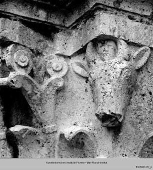 Zoomorphe und figürliche Kapitelle : Blattkapitell mit Stierköpfen