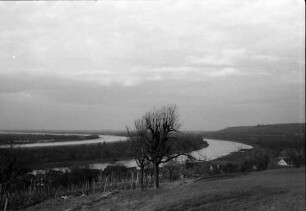 Rheinweiler: Rhein und Rheinseitenkanal