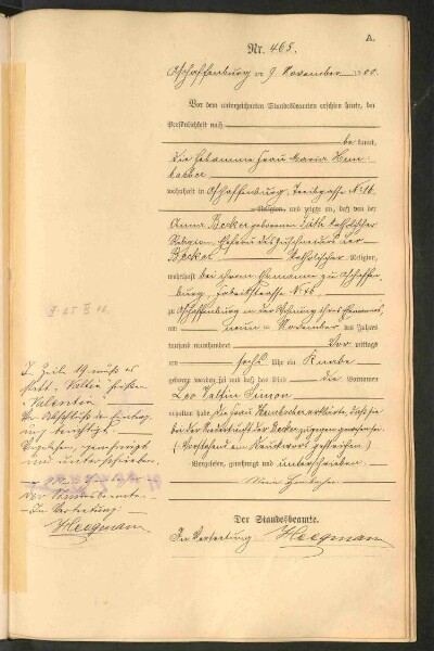 Standesamtsbuch der Stadt Aschaffenburg: Geburten 365/1900 - 184/1901