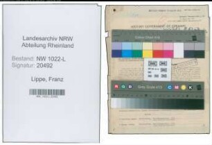 Entnazifizierung Franz Lippe , geb. 29.04.1907 (Ingenieur)