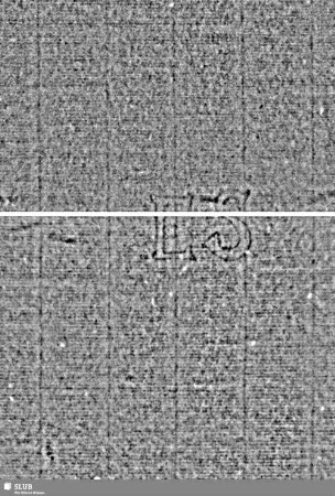 Löwe (steigend) mit Schwert / ES = S.57/58