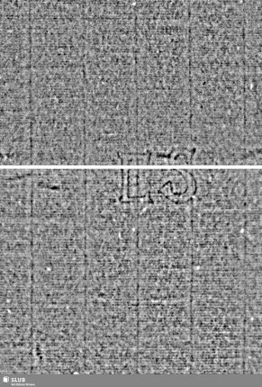 Löwe (steigend) mit Schwert / ES = S.57/58