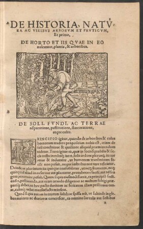 De Horto Et Iis quae In Eo nascuntur, plantis, & arboribus.