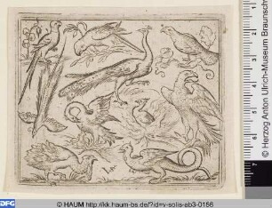 Zehn Vögel mit Phoenix und Pelikan