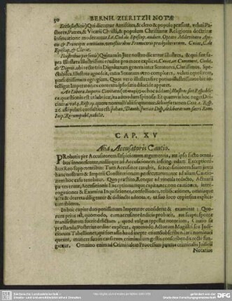 Cap. XV. Alia Accusatoris Cautio