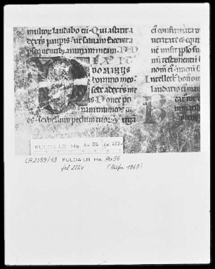 Vollbrevier — Initiale D, Folio 222verso