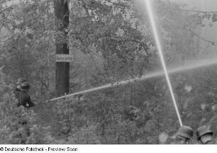 Löschvorführung der Feuerwehr in einem Waldstück