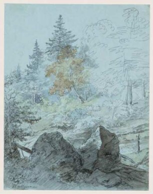 Bergige Waldlandschaft mit zwei Felsblöcken