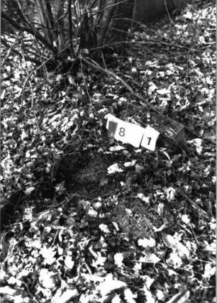 Grabstein 891
