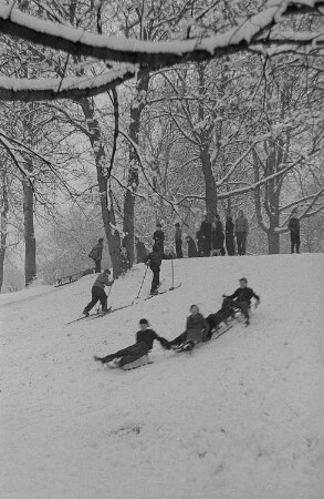 Kinder beim Ski- und Schlittenfahren