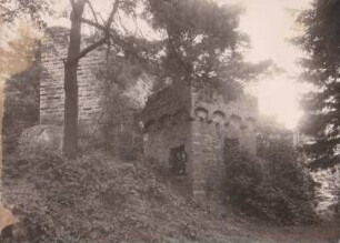 Burguine, Burgruine
