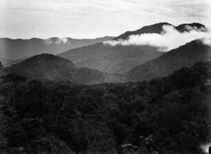 Bergwald auf Sumatra : Von Urwald bedeckte Berge auf Sumatra.