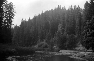Zusammenfluss von Rötenbach und Wutach