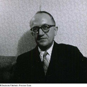 Portraitserie Walter Hallstein