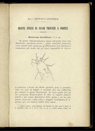 Nuove Specie Di Acari Trovate A Portici