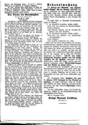 Traun-Alz-Salzachbote : Volksblatt für jedermann ; Amtsblatt der Marktgemeinde-Verwaltung Trostberg. 10. 1877