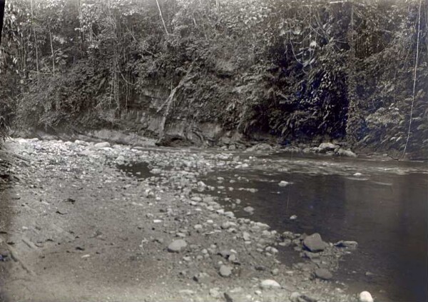 "Stratification des roches au bord de la rive"