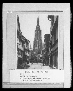 Walfischgasse