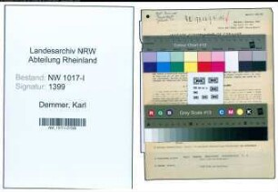 Entnazifizierung Karl Demmer , geb. 22.06.1882 (Bauunternehmer)