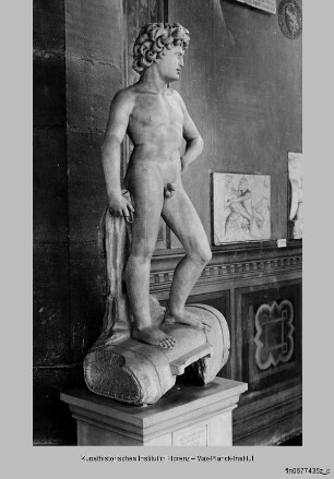 Bacchus