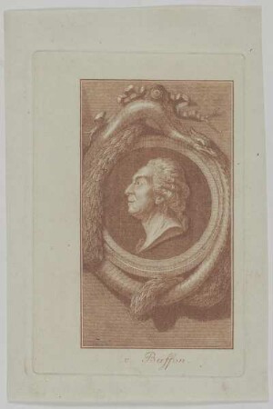 Bildnis des Georges Louis Le Clerc de Buffon