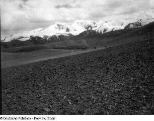 Indien. Kashmir. Ladakh. Aghil-Karakorum. Die Karawane auf dem Dapsang-Plateau (5400 m)