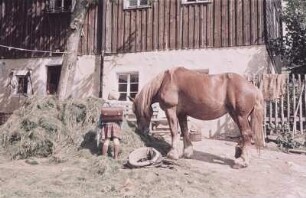 Mädchen mit einem Pferd vor einem Wohnhaus im Erzgebirge
