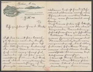 Brief an Ludwig Strecker  und B. Schott's Söhne : 17.07.1904