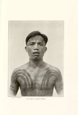 Plate CXLVI. A simple tattoo