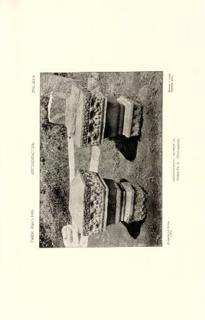Plate III*. Anurádhapura. Abhayagiriya: Section IV. Viháré No. 2. Pillar capitals.