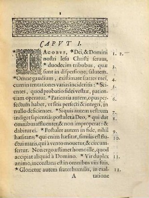Commentarius In Canonicam D. Jacobi Apostoli Epistolam : In quo, Non Modo Sensus Apostoli, Fideliter Et Copiose Explanatur: sed & pleraque fidei Catholicae controversa dogmata, ab erroribus Haereticorum vindicantur